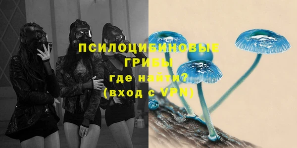 молекула духа Алзамай