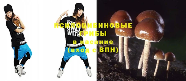 МДПВ Алексин