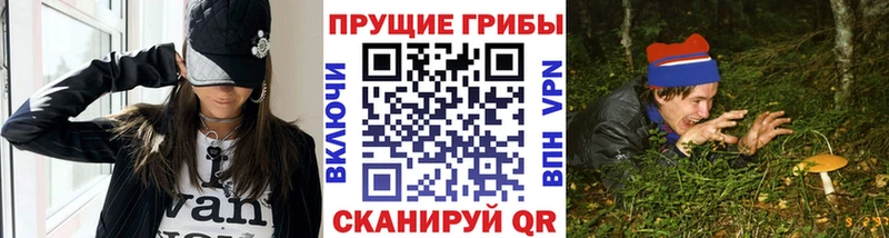 МЕГА зеркало  площадка как зайти  Галлюциногенные грибы Psilocybe  Кореновск 