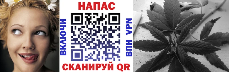 Шишки марихуана план Кореновск